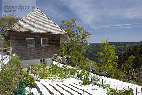 Bauernhof im Frühling mit Schnee auf dem Kandel im Schwarzwald  Baden-Württemberg  Deutschland  Europa  ÖffentlicherGrund