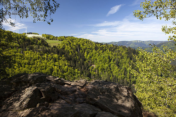 Blick vom Hohenwartsfelsen im Simonswäldertal im Schwarzwald  Baden-Württemberg  Deutschland  Europa