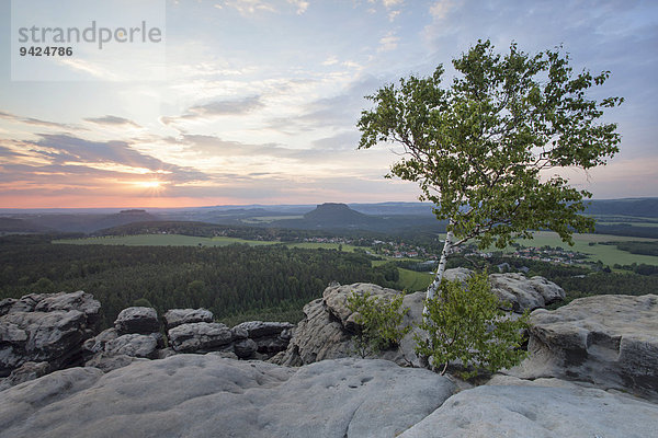 Abendstimmung auf dem Gohrisch mit Sonnenuntergang im Elbsandsteingebirge  Sachsen  Deutschland  Europa