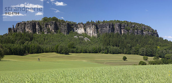 Der Pfaffenstein im Elbsandsteingebirge  Sachsen  Deutschland  Europa