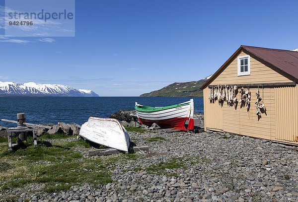 Fischerhütte mit Booten und Meer  Grenivik  Island