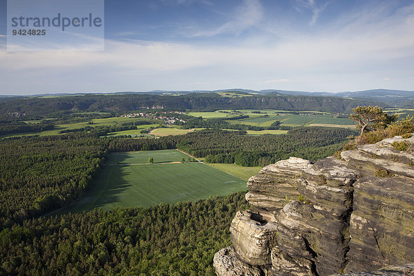 Blick vom Lilienstein  einem Tafelberg im Elbsandsteingebirge  Sachsen  Deutschland  Europa