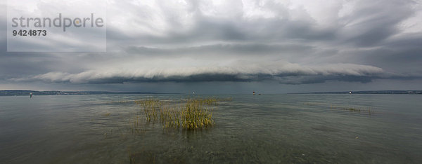 Gewitterwolke  Shelfcloud  mit Sturm und Wellengang am Bodensee bei Konstanz  Baden-Württemberg  Deutschland  Europa