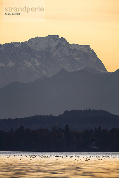 Abendstimmung mit Blick zur Zugspitze am Starnberger See  Bayern  Deutschland  Europa