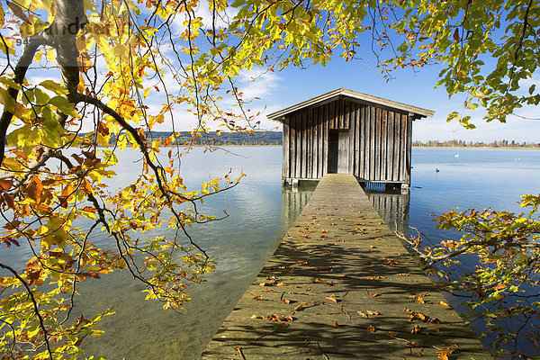 Fischerhütte im Herbst am Kochelsee  Bayern  Deutschland  Europa  ÖffentlicherGrund
