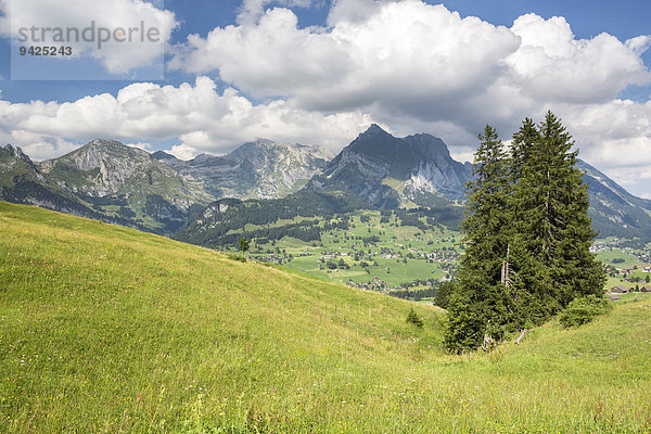Ausblick vom Klangweg im Toggenburg auf den Alpstein mit Säntis  Wildhaus  Kanton St. Gallen  Schweiz