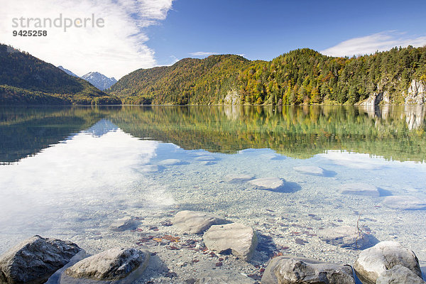 Alpsee im Herbst  Füssen  Ostallgäu  Bayern  Deutschland