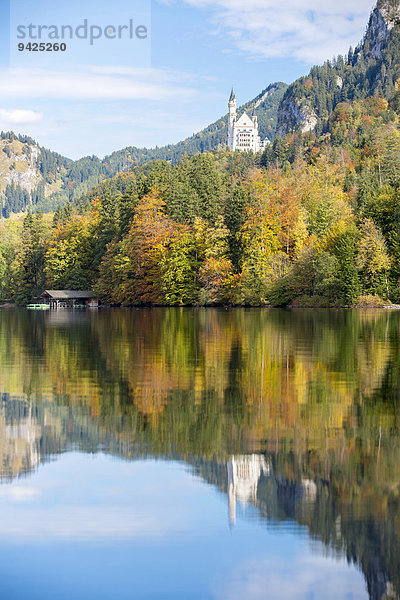 Alpsee mit Schloss Neuschwanstein im Herbst  Füssen  Ostallgäu  Bayern  Deutschland