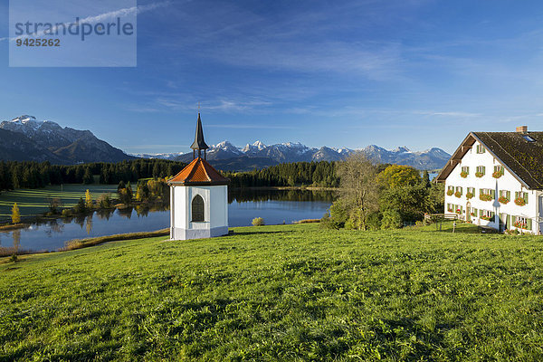 Kapelle und Hegratsrieder See an einem Herbstmorgen  Ostallgäu  Bayern  Deutschland