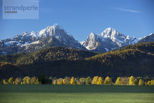 Herbstlandschaft  nahe Füssen  Ostallgäu  Bayern  Deutschland