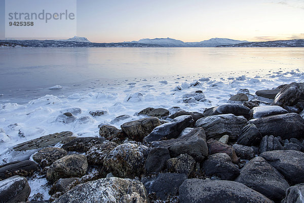 Steine an der Küste  Winterstimmung  Lofoten  Norwegen