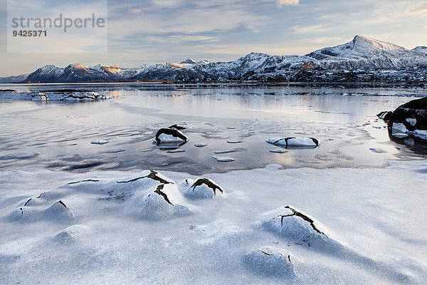 Gefrorener Fjord  Winterstimmung  Lofoten  Norwegen
