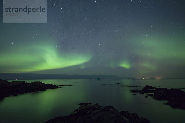Nordlichter in einer Winternacht an der Küste von Hov  Lofoten  Norwegen