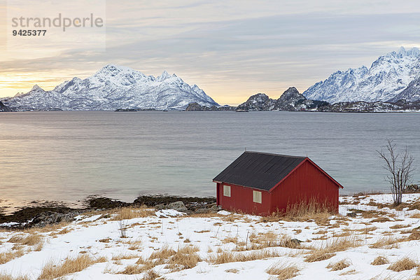 Rotes Haus am Fjord  Winterstimmung  Lofoten  Norwegen