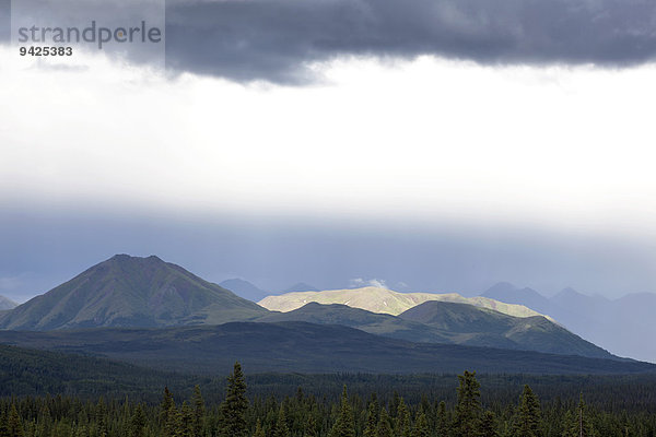 Gebirgszug Alaska Range  Alaska  USA