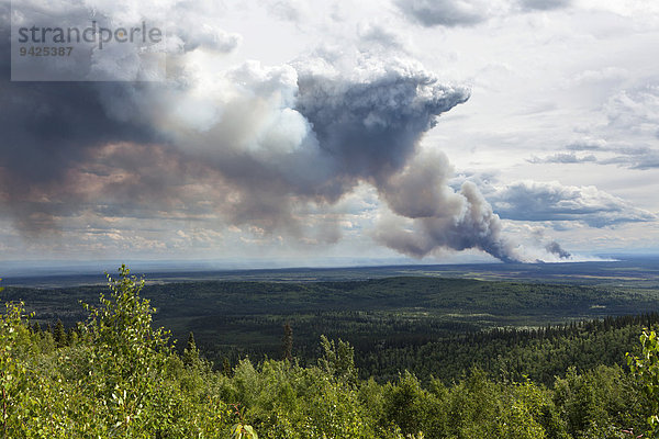 Waldbrand nach einem Blitzschlag  südlich von Fairbanks  Alaska  USA