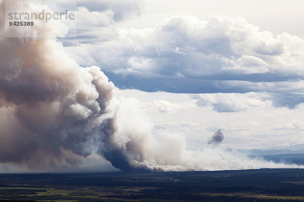 Waldbrand nach einem Blitzschlag  südlich von Fairbanks  Alaska  USA