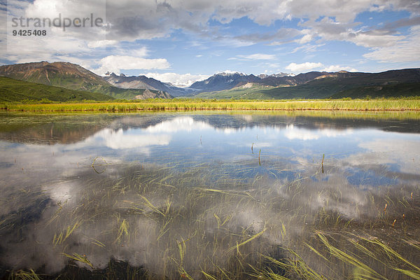 Kleiner See  Gebirgszug Alaska Range  Alaska  USA