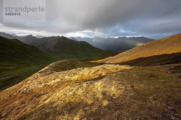 In den Talkeetna Mountains  Palmer  Alaska  USA