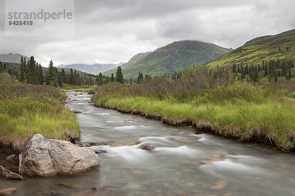 Fluss in den Talkeetna Mountains  Palmer  Alaska  USA