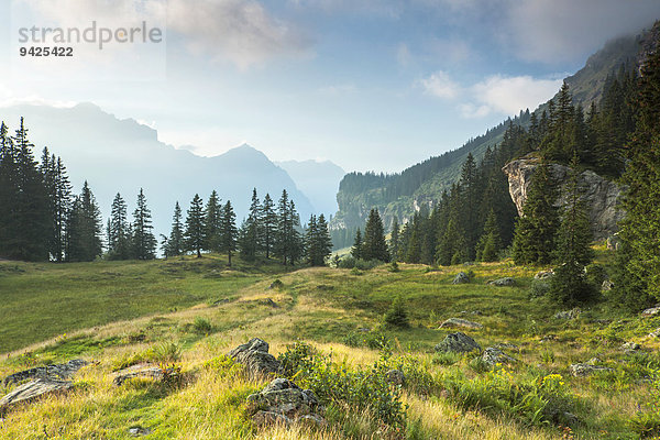 Berg und Wiesenlandschaft im Glarnerland mit Glärnisch  Kanton Glarus  Schweiz