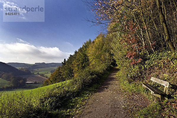 Herbstliche Landschaft in der Elfringhauser Schweiz  Hattingen  Ruhrgebiet  Nordrhein-Westfalen  Deutschland