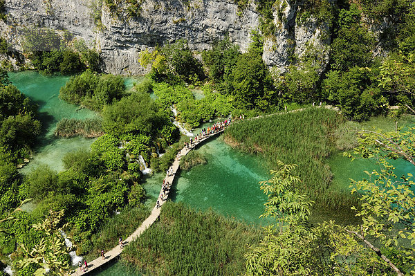 Ein Holzsteg führt durch die Plitvicer Seenplatte  Plitvice  Kroatien