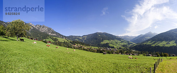 Panorama  Kitzbüheler Alpen  Alpbachtal  Alpbach  Tirol  Österreich