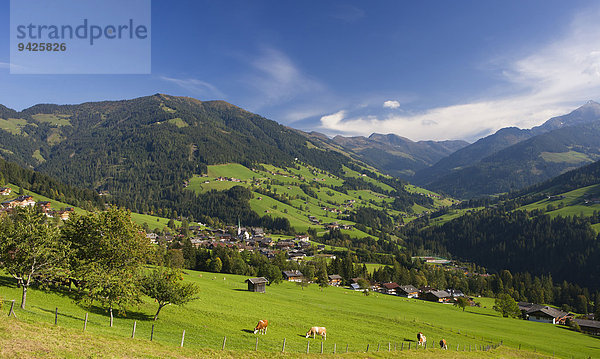 Viehweide  Kühe  Kitzbüheler Alpen  Alpbachtal  Alpbach  Tirol  Österreich