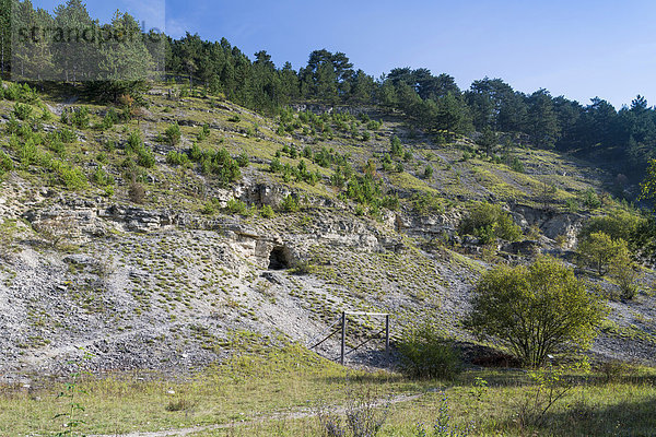 Geheimes Führerhauptquartier für Hitler  ehemalige Bunkeranlage mit 25 Stollen  1944 bis 1945 von KZ-Häftlingen errichtet  Jonastal  Arnstadt  Thüringen  Deutschland