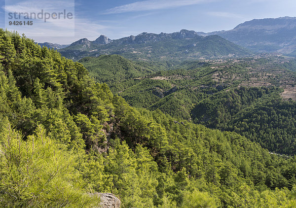 Taurusgebirge  Köprülü-Canyon-Nationalpark  Wiederaufforstung mit Kiefern nach Waldbränden  Antalya  Türkei