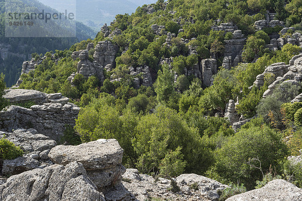 Felsenlandschaft im Köprülü-Kanyon-Nationalpark  Taurusgebirge  Provinz Antalya  Türkei