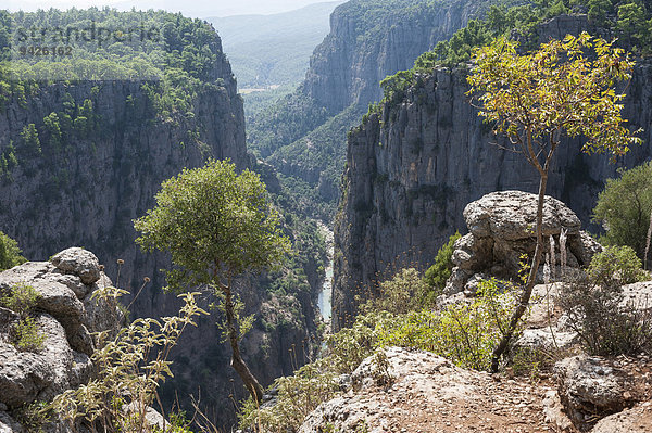 Köprülü-Kanyon-Nationalpark  400m tiefer Canyon mit Fluss Köprüçay  Taurusgebirge  Provinz Antalya  Türkei