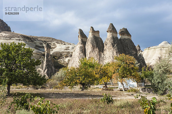 Feenkamine oder Erdpyramiden  Tal der Mönche oder Pasabagi-Tal  Nationalpark Göreme  UNESCO-Weltnaturerbe  Kappadokien  Türkei