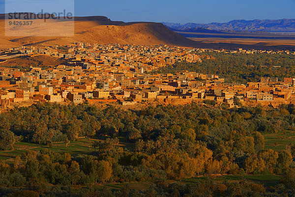 Alte Kasbah  Oase  Abendlicht  Tinerhir  Tineghir  Tinghir  Tinghi  Todra-Tal  Todraschlucht  Marokko