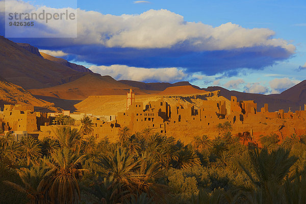 Alte Kasbah  Oase  Abendlicht  Tinerhir  Tineghir  Tinghir  Tinghi  Todra-Tal  Todraschlucht  Marokko