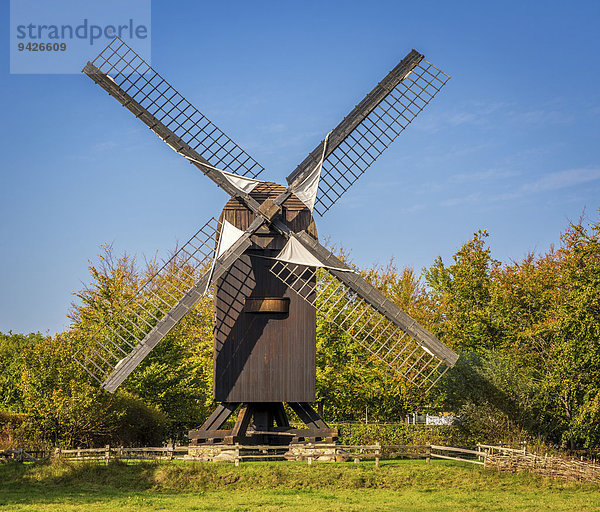 Typische dänische Windmühle aus dem 16. Jahrhundert  Freilichtmuseum  Frilandsmuseet  Lyngby  Dänemark