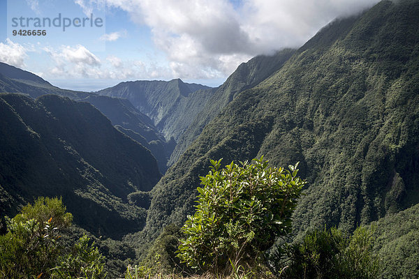 Wolken über Takamaka Schlucht  Cassée de Takamaka  La Reunion