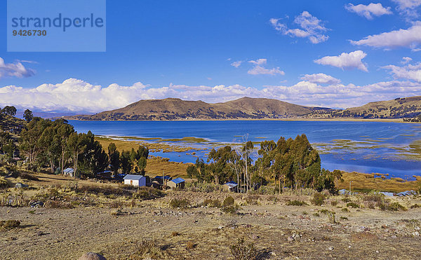 Kleine Häuser beim Titicacasee  bolivianische Hochebene Altiplano  Bolivien