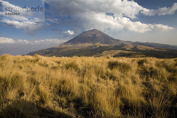 Vulkan Popocatépetl  Nationalpark Iztaccíhuatl-Popocatépetl  Puebla  Mexiko