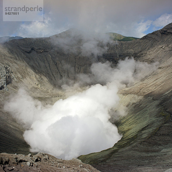 Vulkan  Kraterrand  Dampf  Mount Bromo  Cemoro Lawang oder Cemorolawang  Jawa Timur  Indonesien
