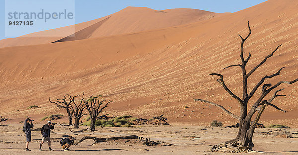 Drei Touristen fotografieren abgestorbenen Baum in der Salz-Ton Pfanne  Deadvlei  Sossusvlei  Namib-Wüste  Namibia