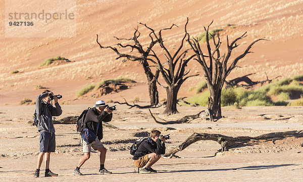 Drei Wanderer fotografieren einen abgestorbenen Baum in der Salz-Ton-Pfanne  Deadvlei  Sossusvlei  Namib-Wüste  Hardap  Namibia