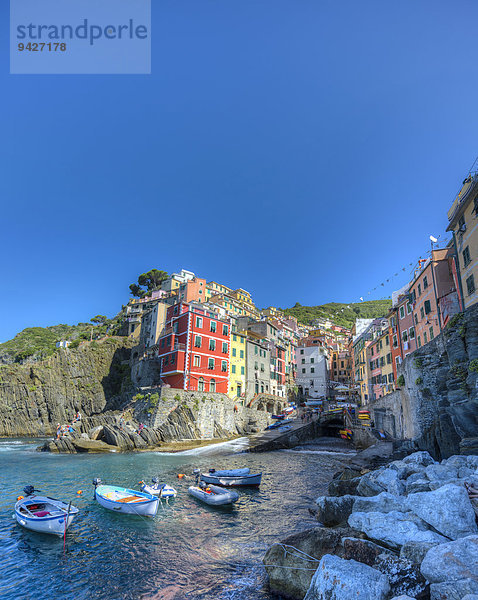 Ortsansicht mit Hafen und bunten Häusern  Riomaggiore  Cinque Terre  La Spezia  Ligurien  Italien
