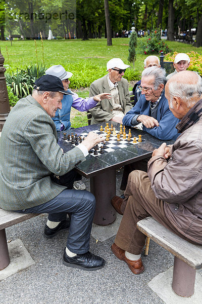 Männer spielen Schach  Neu-Belgrad in Belgrad  Serbien