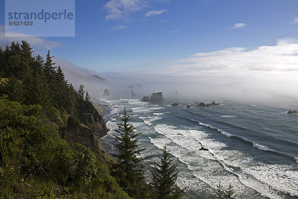 Meer  Brandung  Wellen  Nebel  Küste  bei Brandon  Oregon  USA
