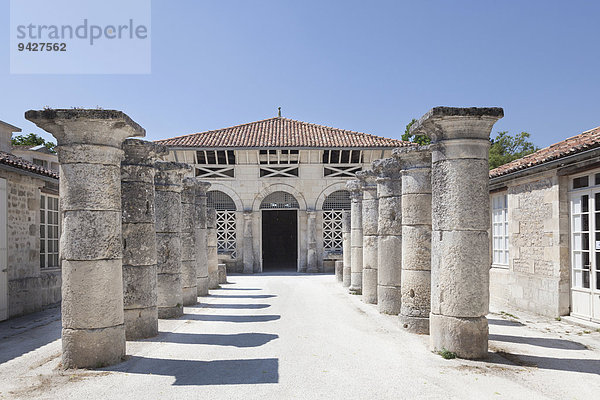 Säulen säumen den Eingang zum Archäologischen Museum  Saintes  Poitou-Charentes  Frankreich