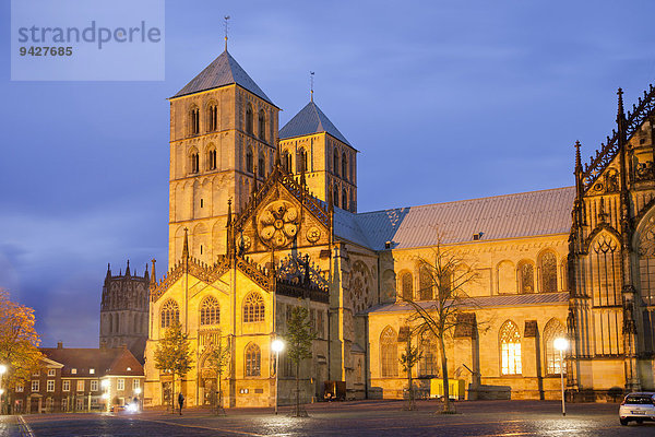 St. Paulus-Dom bei Nacht  Münster  Nordrhein-Westfalen  Deutschland