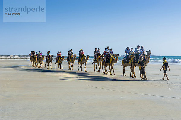 Touristen reiten auf Kamelen  am Cable Beach  Broome  Western Australia