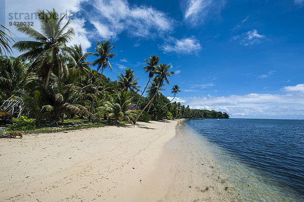 Weißer Sandstrand und Palmen  Insel Yap  Westkarolinen  Mikronesien